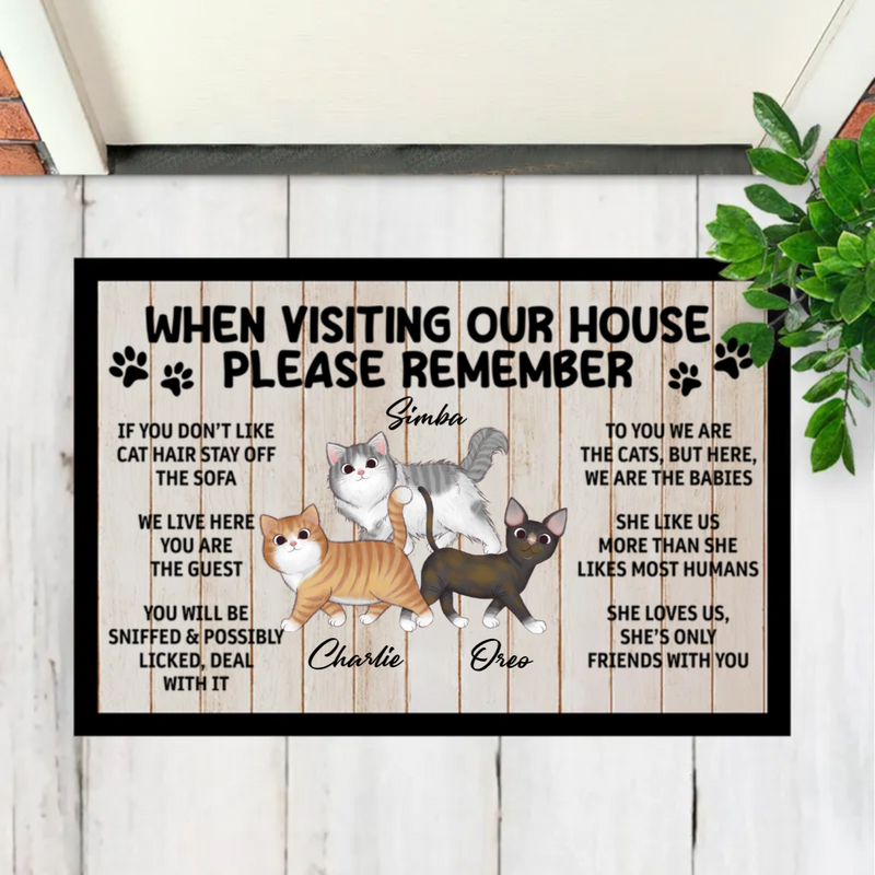 Cat Lovers - Please Remember When Visiting Cats House- Personalized Doormat