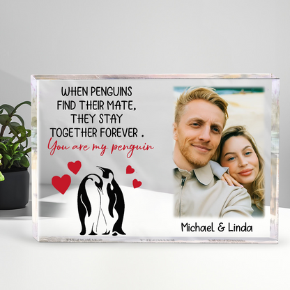 Custom Photo You Are My Penguin - Couple Personalized Custom Rectangle Shaped Acrylic Plaque - Gift For Husband Wife, Anniversary