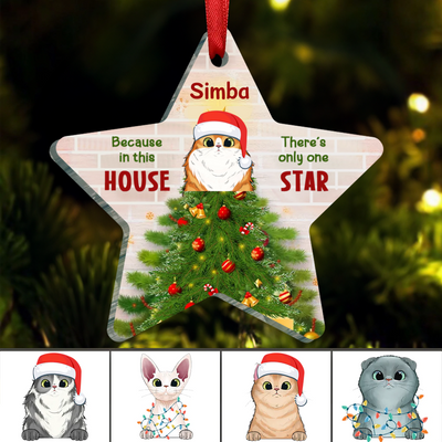 Cat Lovers - Because In This House There's Only One Star - Personalized Star Ornament