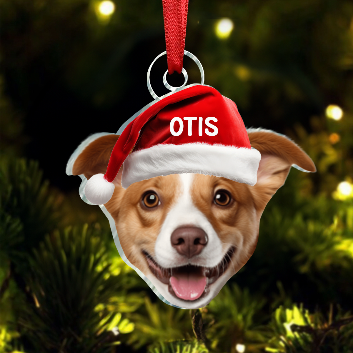 Pet Funny Christmas Face - Personalized Pet Photo Ornament