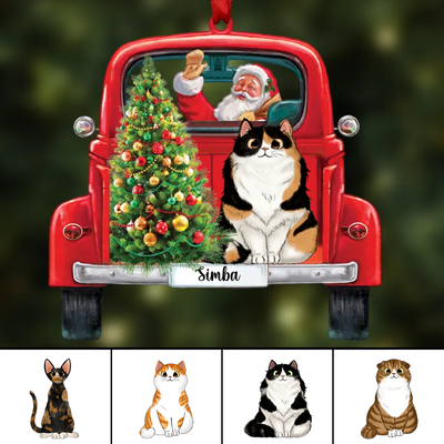 Cat Lovers - Santa & Cat Christmas - Personalized Car Ornament