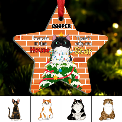 Cat Lovers - Because In This House, There's Only One Star - Personalized Ornament