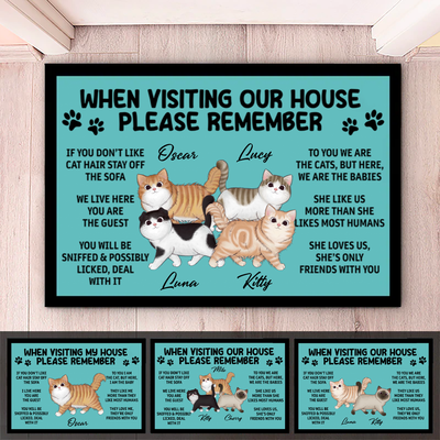 Cat Lovers - Please Remember When Visiting Cats House- Personalized Doormat