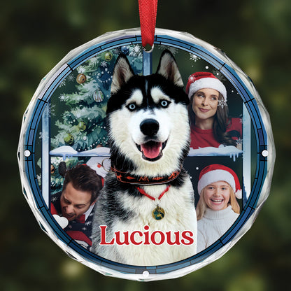 Custom Photo Pet Face Purry And Bright - Personalized Circle Acrylic Ornament