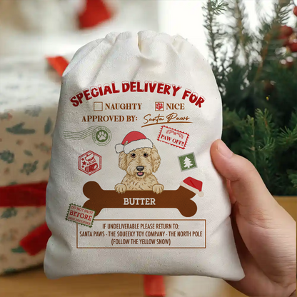 Special Delivery From Santa Paws - Personalized Favor Bag