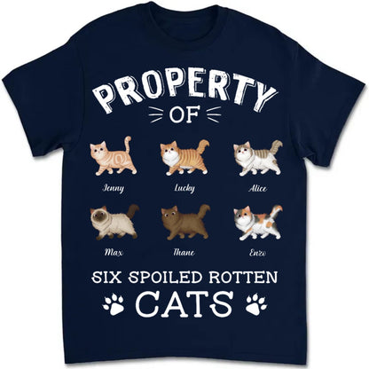 Cat Lover - The Spoiled Rotten Cats - Personalized Unisex T - Shirt - Makezbright Gifts