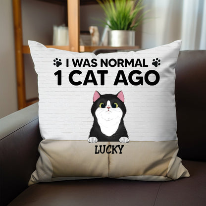 Cat Lovers - I Was Normal With My Cats - Personalized Pillow (BU) - Makezbright Gifts