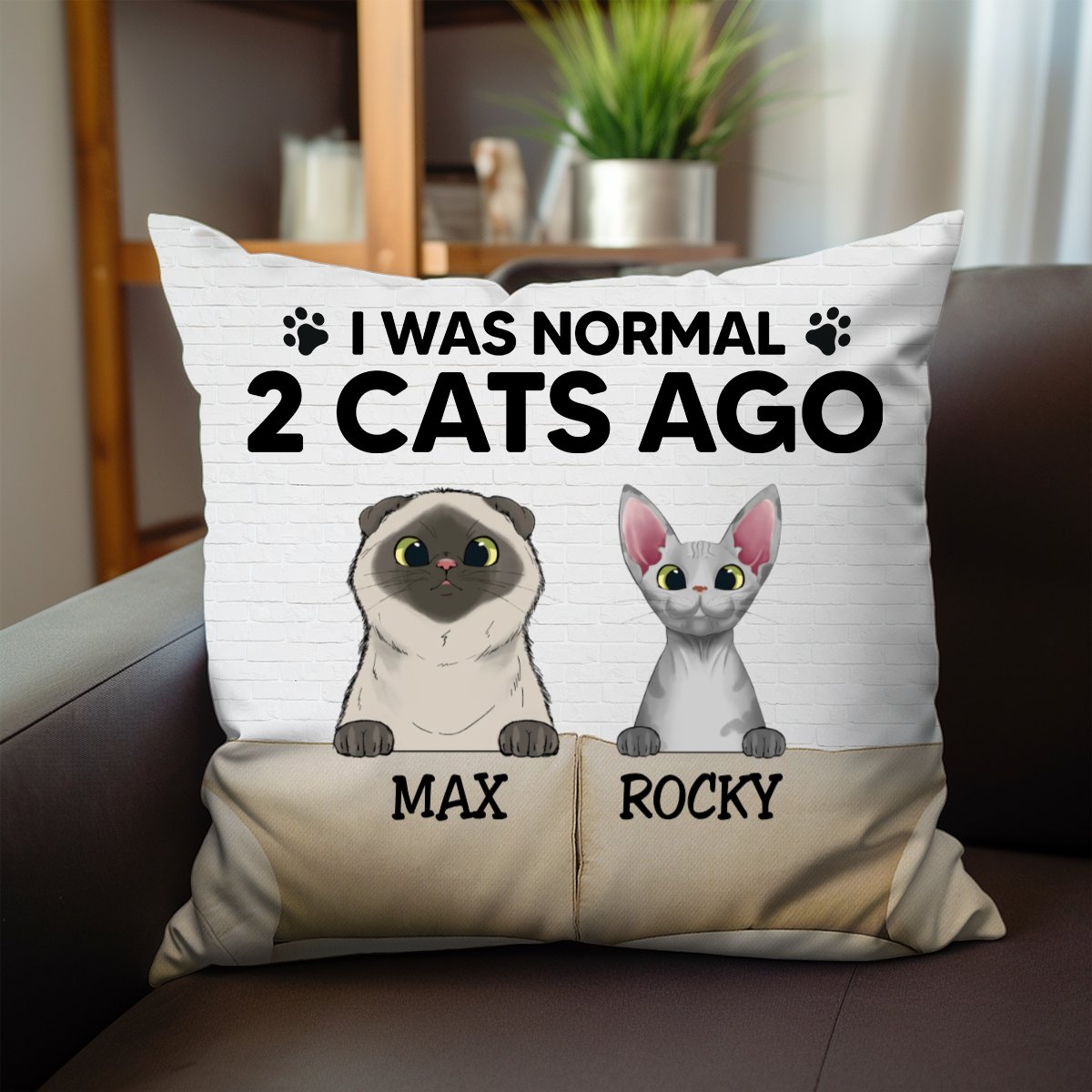 Cat Lovers - I Was Normal With My Cats - Personalized Pillow (BU) - Makezbright Gifts