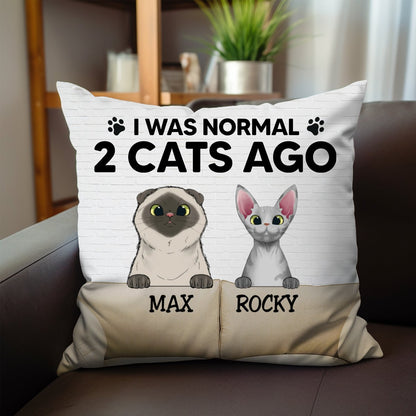 Cat Lovers - I Was Normal With My Cats - Personalized Pillow (BU) - Makezbright Gifts