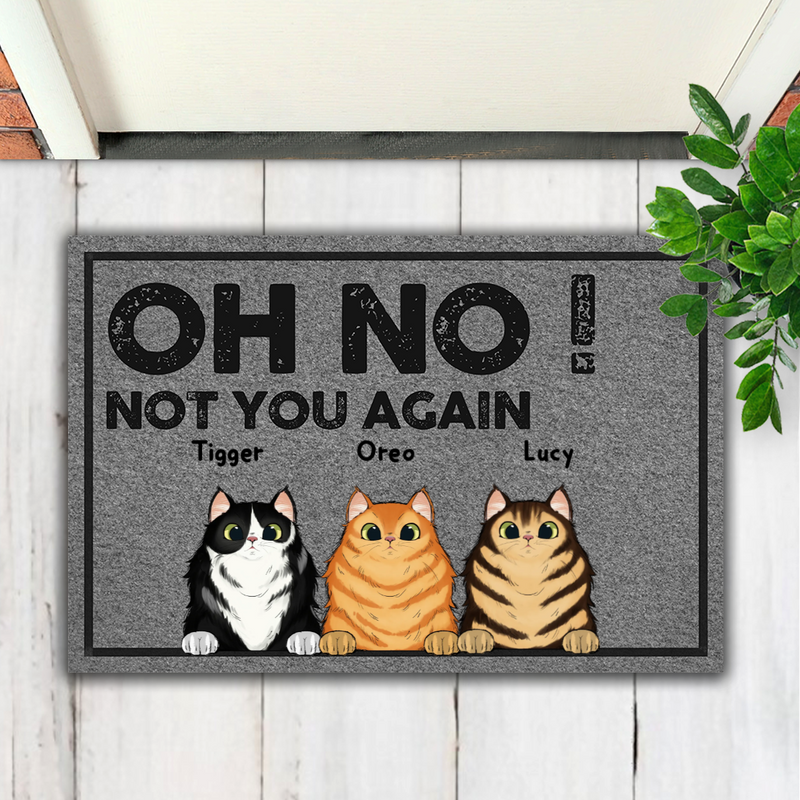 Cat Lovers - Oh No! Not You Again - Personalized Doormat