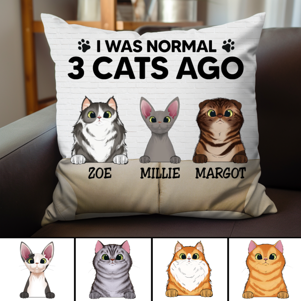 Cat Lovers - I Was Normal With My Cats - Personalized Pillow (BU)