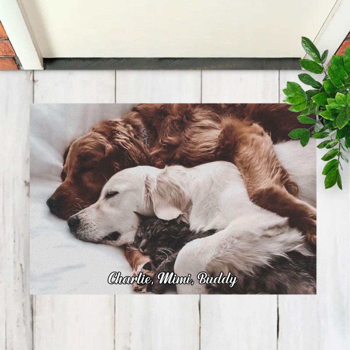 Pet Lovers - Custom Photo Doormat - Personalized Doormat - Makezbright Gifts