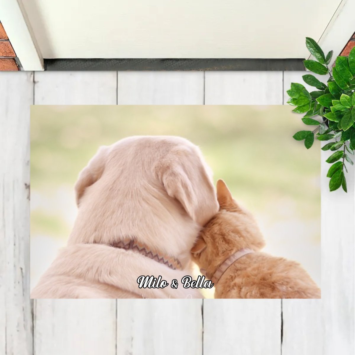 Pet Lovers - Custom Photo Doormat - Personalized Doormat - Makezbright Gifts