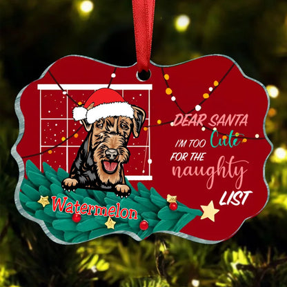 Pet Lovers - Too Cute For The Naughty List - Personalized Acrylic Ornament - Makezbright Gifts