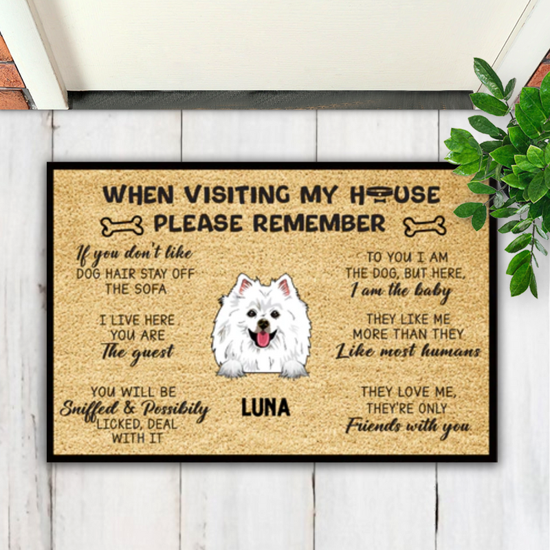 Dog Lovers - When Visit My House Please Remember - Personalized Doormat (Ver 3) - Makezbright Gifts
