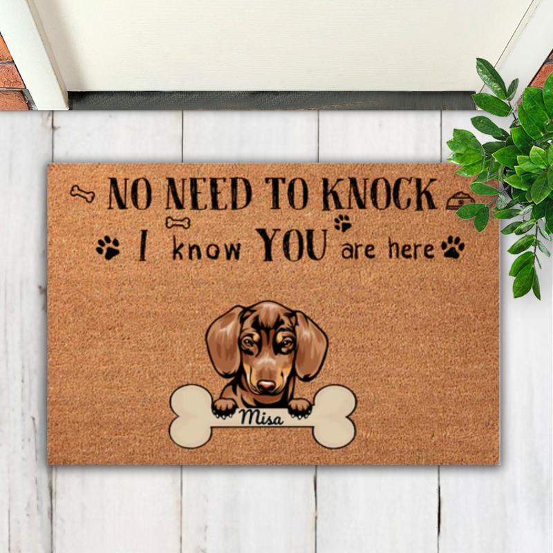 No Need To Knock We Know You Are Here - Personalized Dog Doormat - Makezbright Gifts